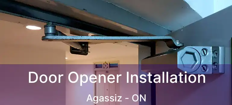  Door Opener Installation Agassiz - ON