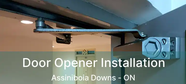  Door Opener Installation Assiniboia Downs - ON