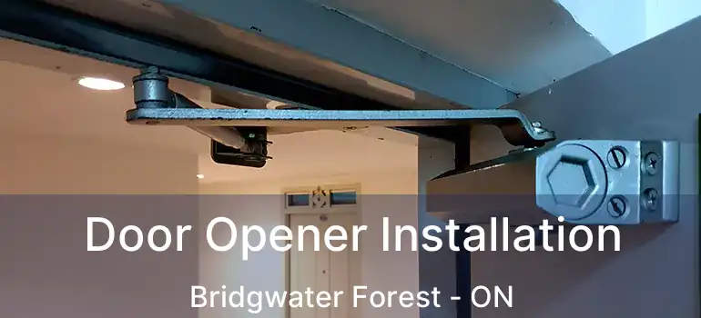  Door Opener Installation Bridgwater Forest - ON
