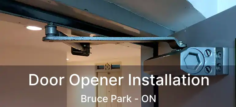  Door Opener Installation Bruce Park - ON