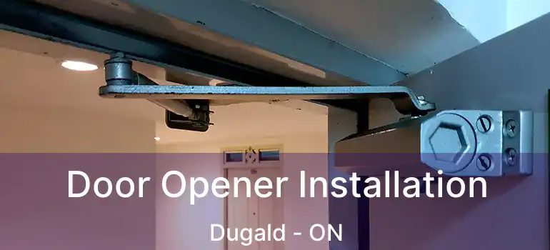  Door Opener Installation Dugald - ON