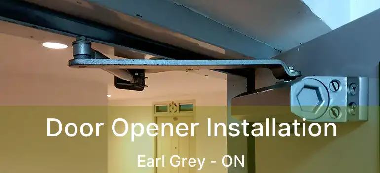  Door Opener Installation Earl Grey - ON