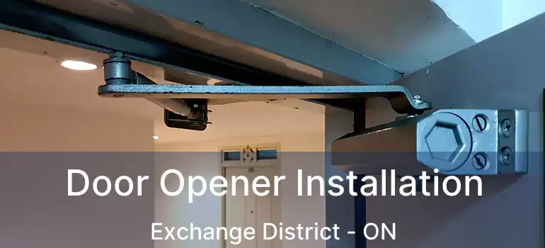  Door Opener Installation Exchange District - ON