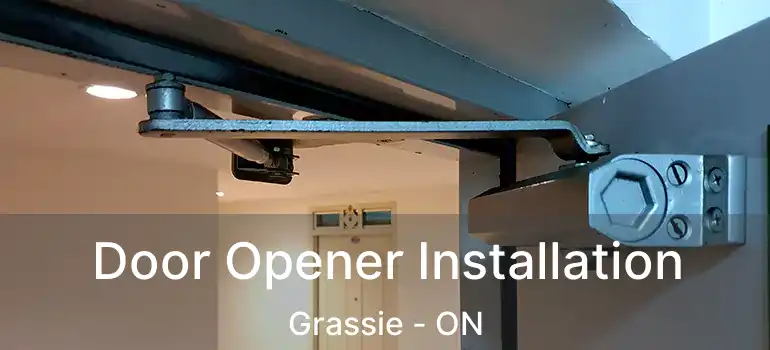  Door Opener Installation Grassie - ON
