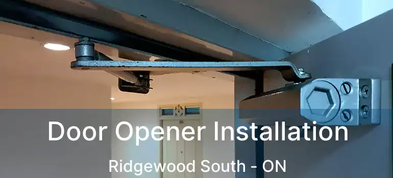  Door Opener Installation Ridgewood South - ON