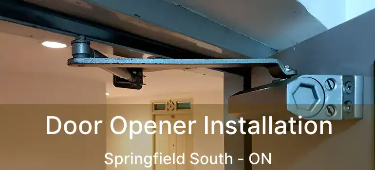 Door Opener Installation Springfield South - ON