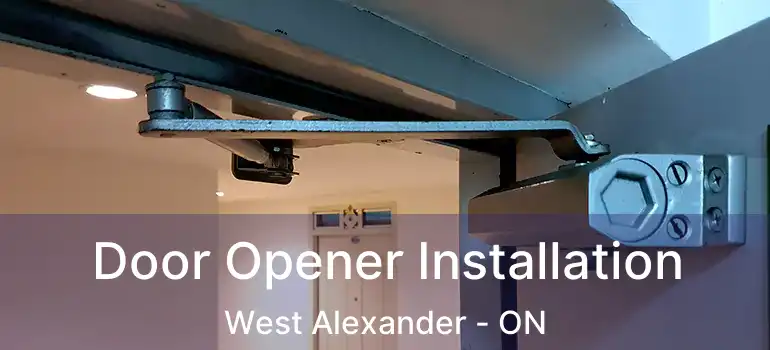  Door Opener Installation West Alexander - ON