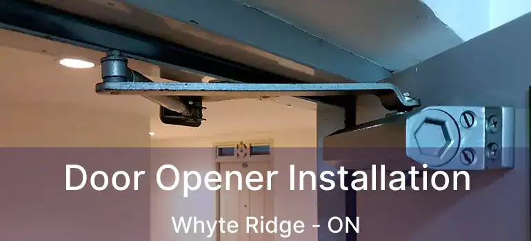  Door Opener Installation Whyte Ridge - ON