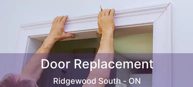  Door Replacement Ridgewood South - ON