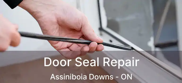  Door Seal Repair Assiniboia Downs - ON