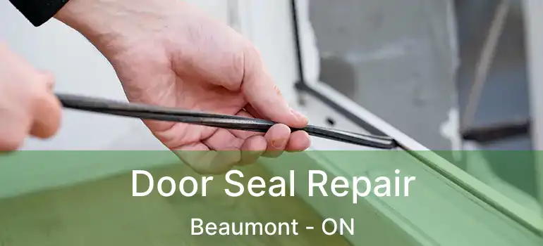  Door Seal Repair Beaumont - ON