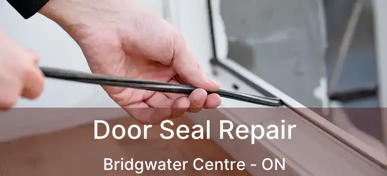  Door Seal Repair Bridgwater Centre - ON