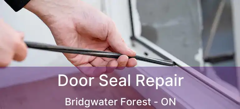  Door Seal Repair Bridgwater Forest - ON