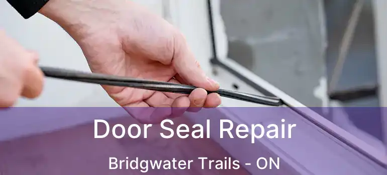  Door Seal Repair Bridgwater Trails - ON