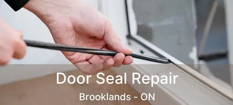  Door Seal Repair Brooklands - ON