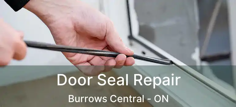  Door Seal Repair Burrows Central - ON