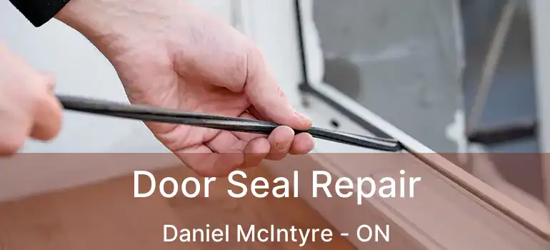  Door Seal Repair Daniel McIntyre - ON