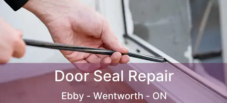 Door Seal Repair Ebby - Wentworth - ON