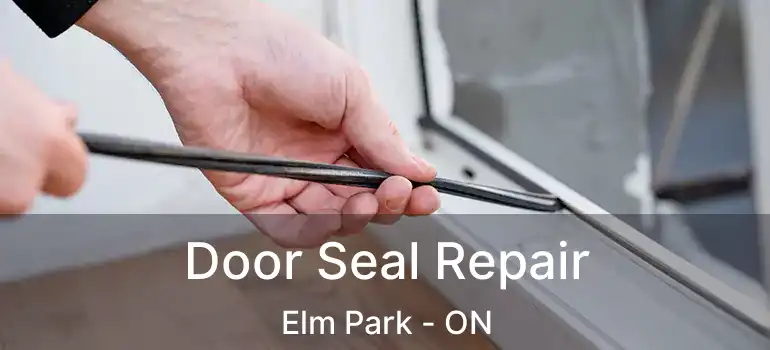  Door Seal Repair Elm Park - ON