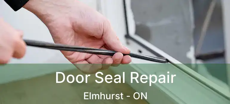  Door Seal Repair Elmhurst - ON