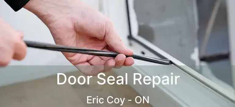  Door Seal Repair Eric Coy - ON