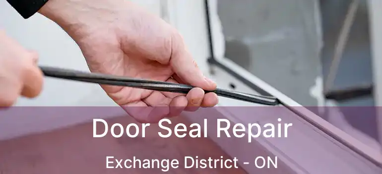  Door Seal Repair Exchange District - ON