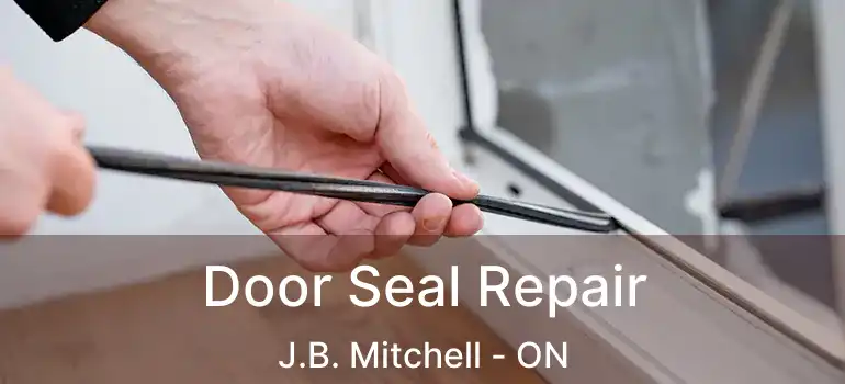  Door Seal Repair J.B. Mitchell - ON