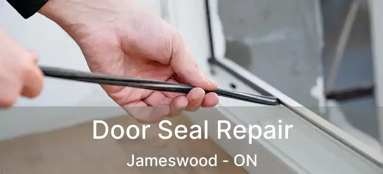  Door Seal Repair Jameswood - ON