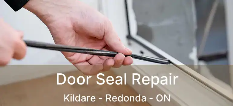  Door Seal Repair Kildare - Redonda - ON