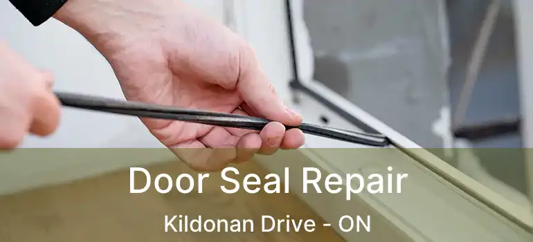  Door Seal Repair Kildonan Drive - ON
