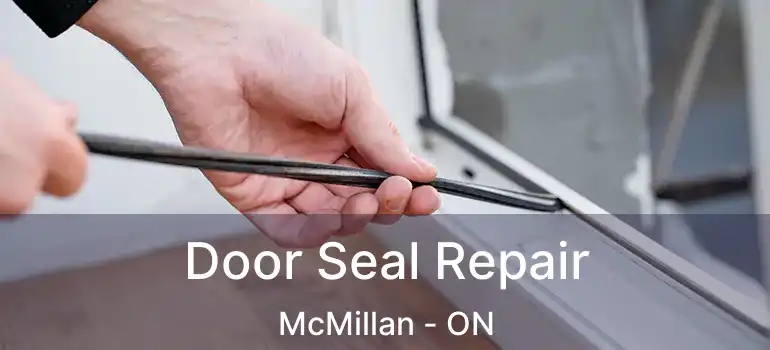  Door Seal Repair McMillan - ON
