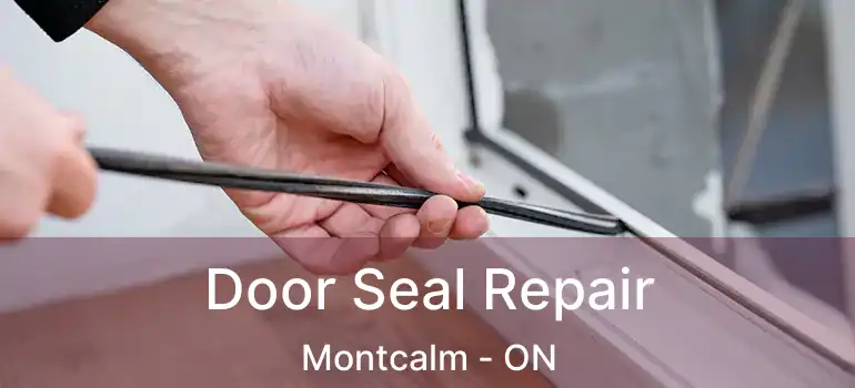  Door Seal Repair Montcalm - ON