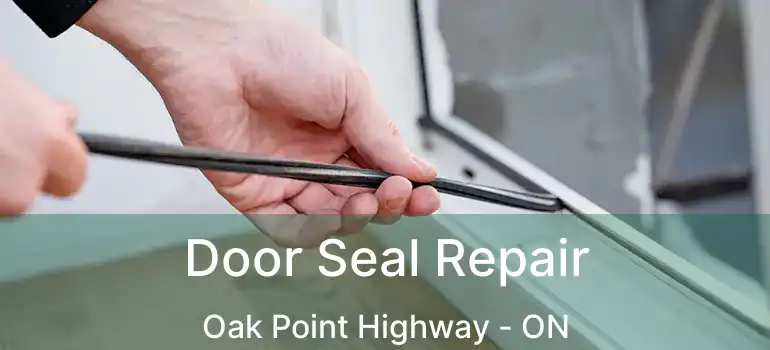  Door Seal Repair Oak Point Highway - ON
