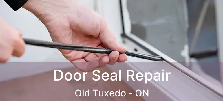  Door Seal Repair Old Tuxedo - ON