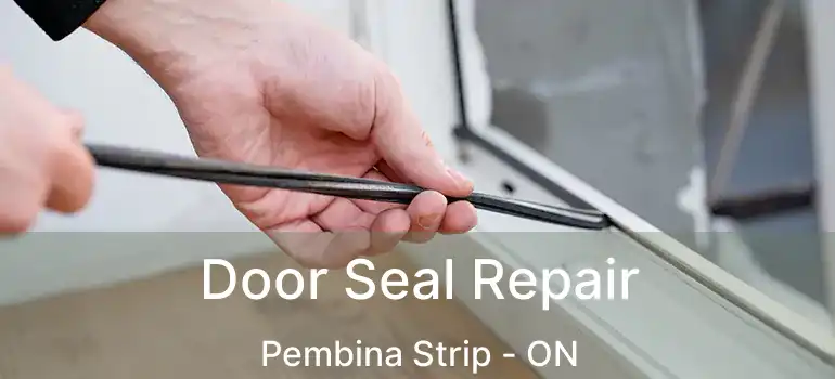 Door Seal Repair Pembina Strip - ON
