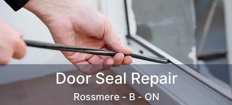  Door Seal Repair Rossmere - B - ON