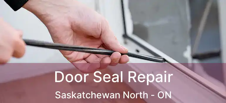  Door Seal Repair Saskatchewan North - ON
