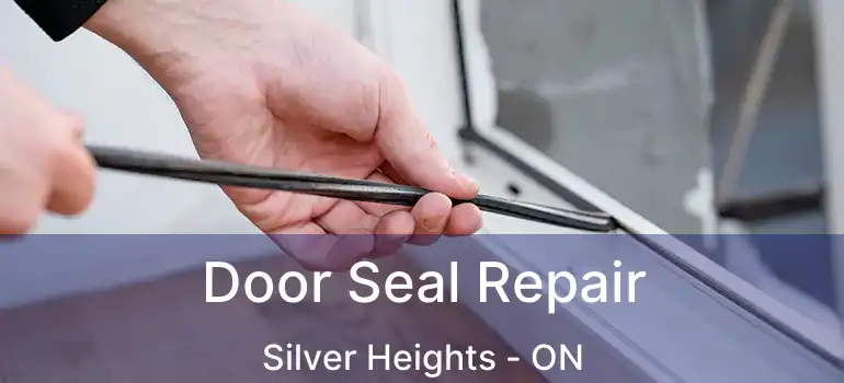  Door Seal Repair Silver Heights - ON