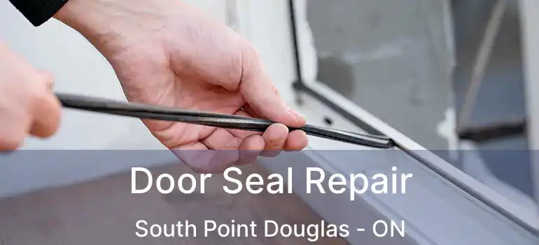  Door Seal Repair South Point Douglas - ON