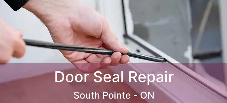  Door Seal Repair South Pointe - ON