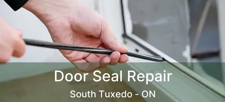  Door Seal Repair South Tuxedo - ON