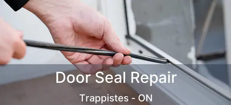  Door Seal Repair Trappistes - ON