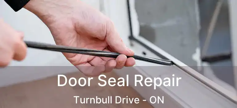  Door Seal Repair Turnbull Drive - ON
