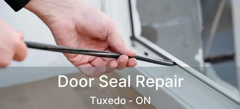  Door Seal Repair Tuxedo - ON