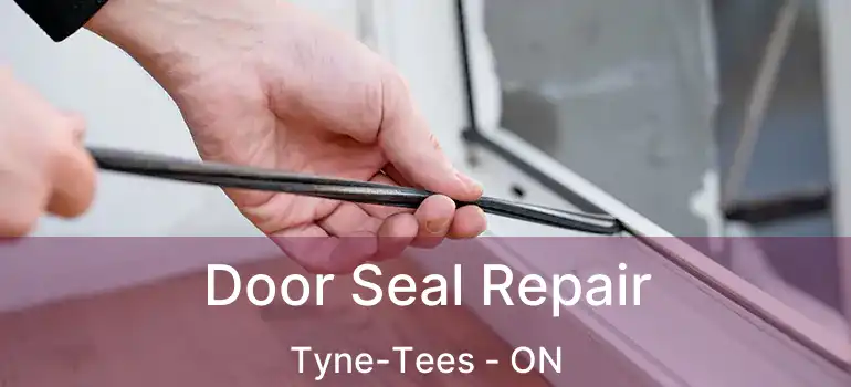  Door Seal Repair Tyne-Tees - ON