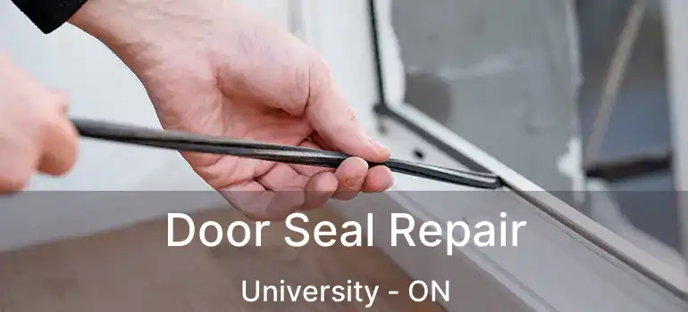  Door Seal Repair University - ON