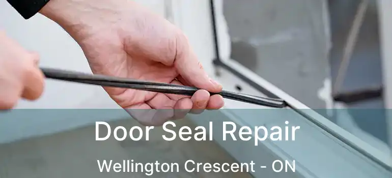  Door Seal Repair Wellington Crescent - ON