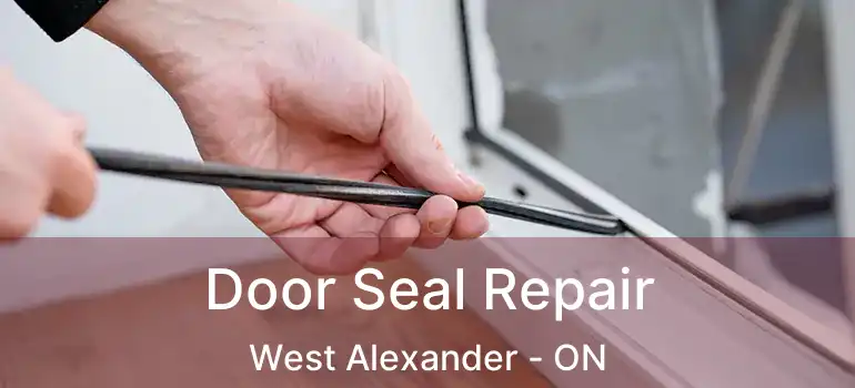  Door Seal Repair West Alexander - ON