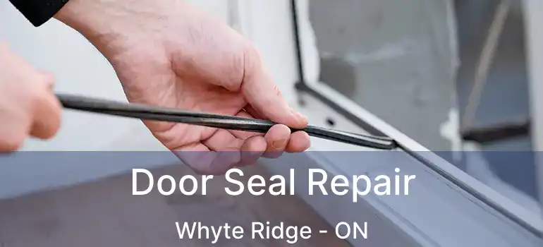 Door Seal Repair Whyte Ridge - ON