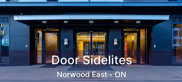 Door Sidelites Norwood East - ON
